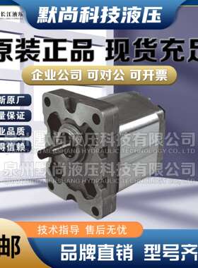 淮安长江齿轮泵RGP-F304/F306/F308/F310/F410/F416/F425精装油泵