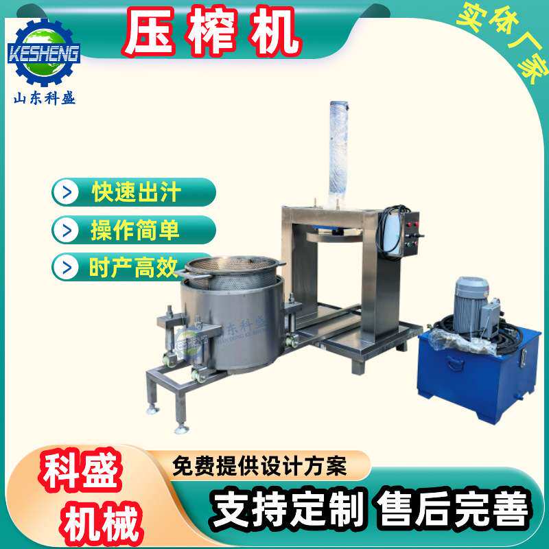 果汁压榨机 贵州刺梨鲜果榨汁机 生姜大蒜粉碎泥浆原汁压榨机