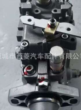 VE6泵总成196000-5090 2806720燃油泵 12F1100RND509油泵 燃油泵