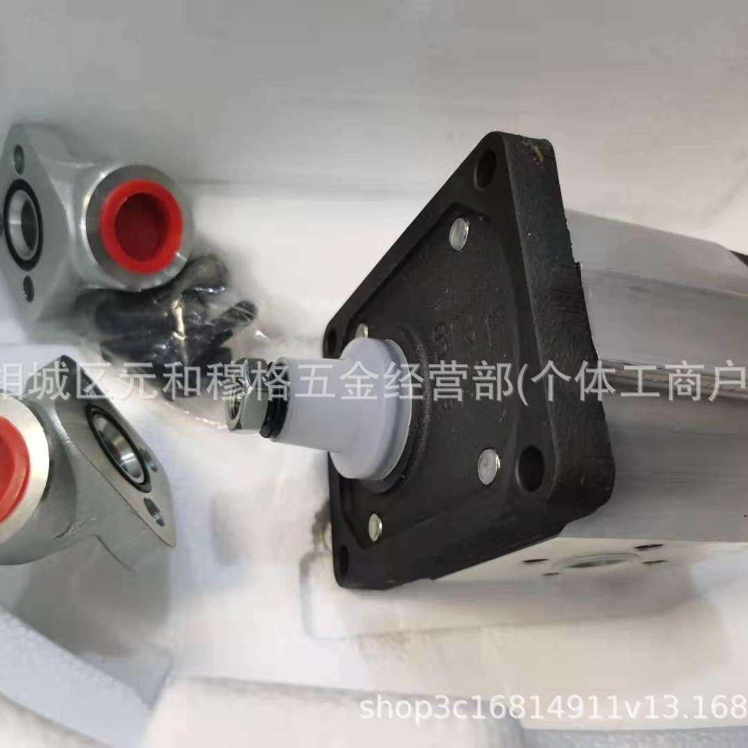迪普马DUPLOMATIC齿轮泵1P-1.6R/11N 1P-2R/11N 1P1.6R/11N油泵