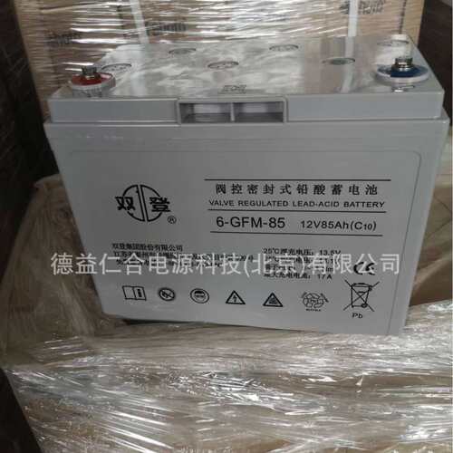 双登蓄电池 6-GFM-85 12V85H铅酸免维护