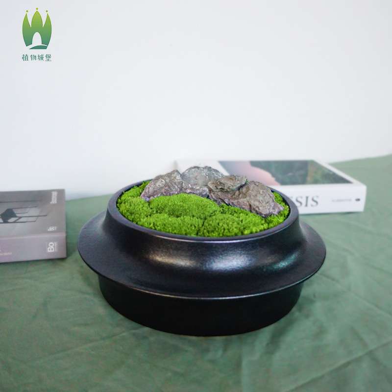 苔藓微观植物盆栽禅意桌面绿植盆栽日式青苔创意盆景新中式摆件