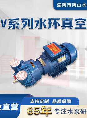 2BV2061型博山真空泵水环真空泵机械密封真空泵直联式水环泵