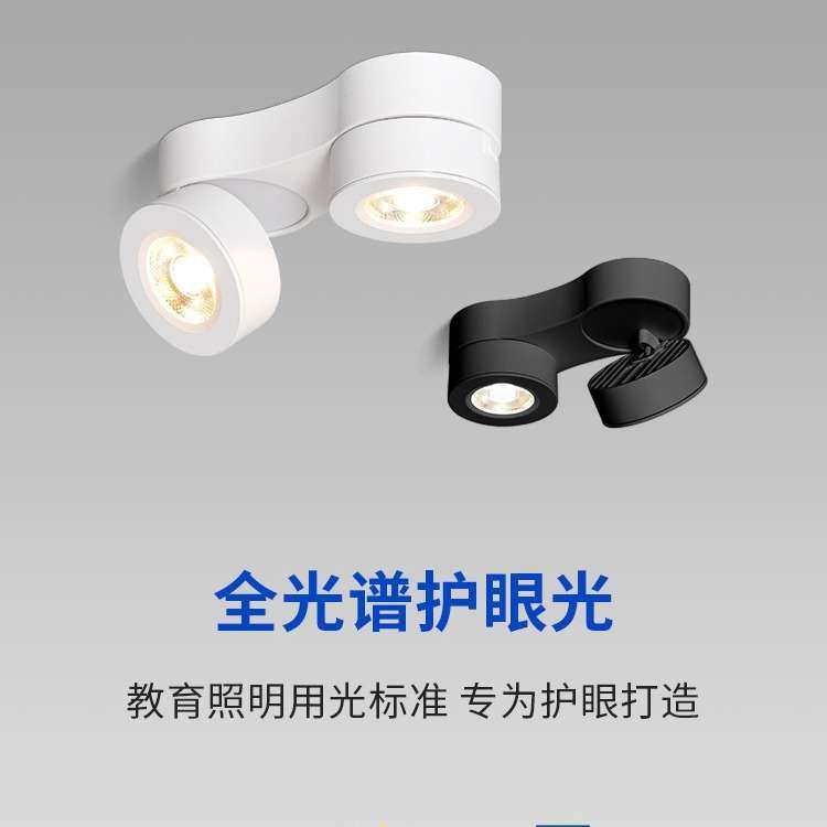 led超薄双头明装个性筒灯天花可调角度无主灯泛光灯客厅吸顶射灯,玩具/童车/益智/积木/模型,遥控车升级件/零配件,淘宝优惠券,粉丝福利购,淘宝优惠卷