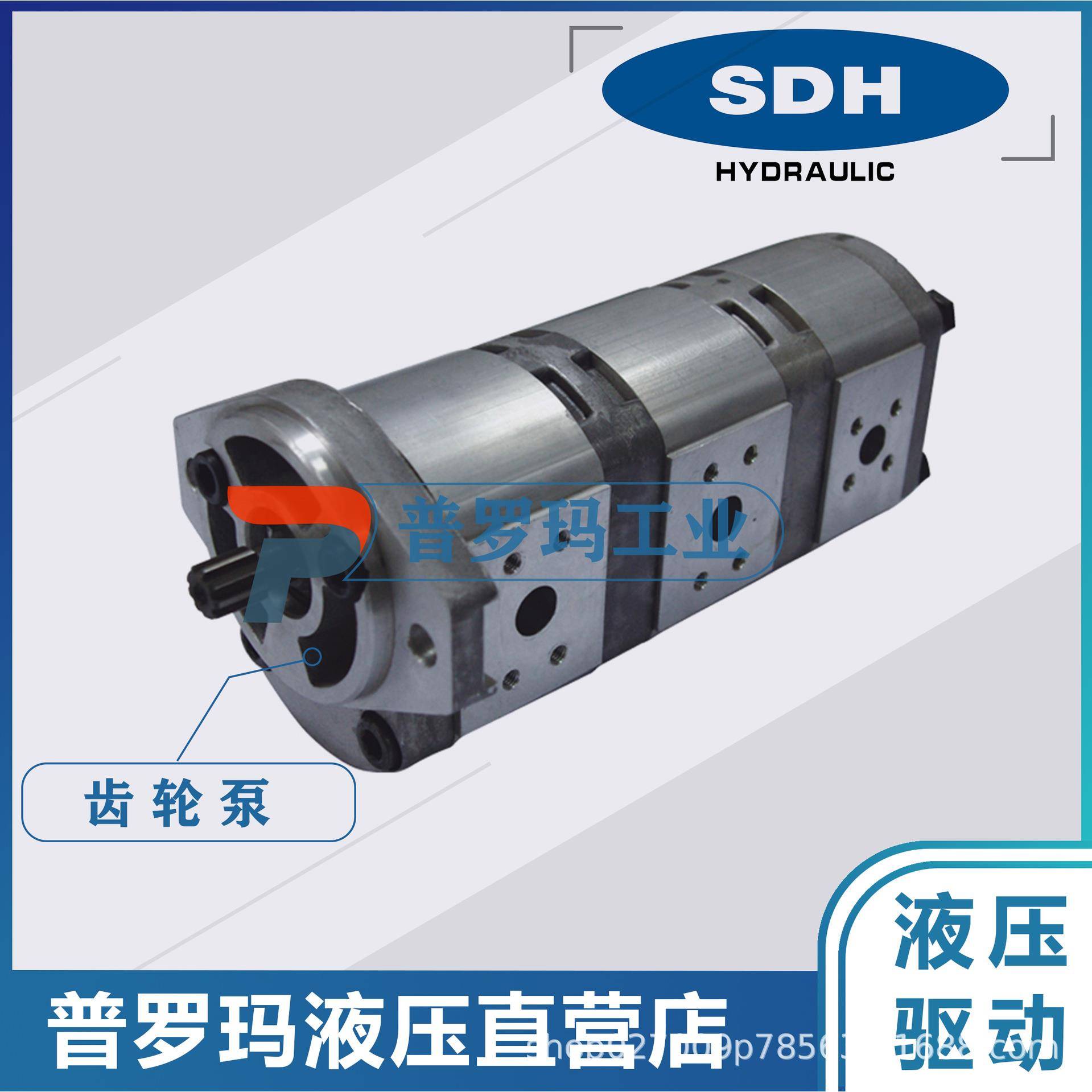 SDH齿轮泵液压泵双联油泵CBD-F550/312LZ2CBD-F542/306LZ2