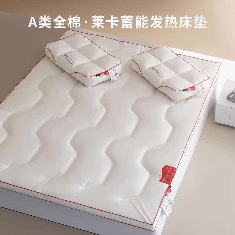 五星级酒店专用床垫软垫防螨家用厚床褥子榻榻米垫被学生宿舍褥垫