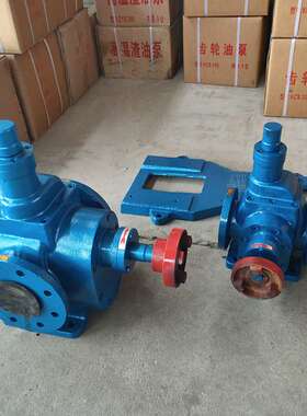 厂家直销 YCB40/0.6圆弧齿轮泵 燃油泵 不锈钢圆弧泵 重油泵 规格