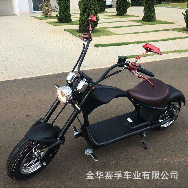出口南美智力巴西秘鲁EEC coc 电动哈雷车平衡车滑板车 citycoco