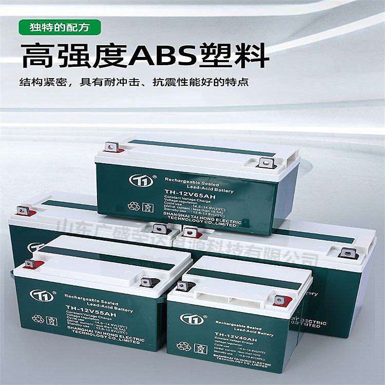 台洪蓄电池TH-12V100 7 17 24 38 40 65 120AH机房直流屏专用