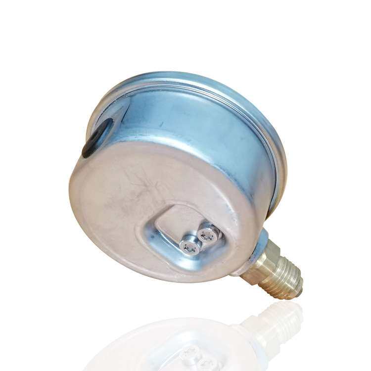 德国泰科斯压力表tecsis不锈钢压力表耐震充油YN63 40MPA 5800PSI