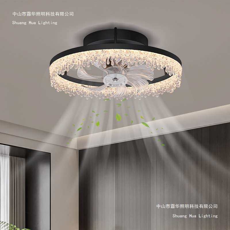意式极简轻奢卧室风扇灯客厅2025新款餐厅吊扇灯黑色全光谱遥控灯