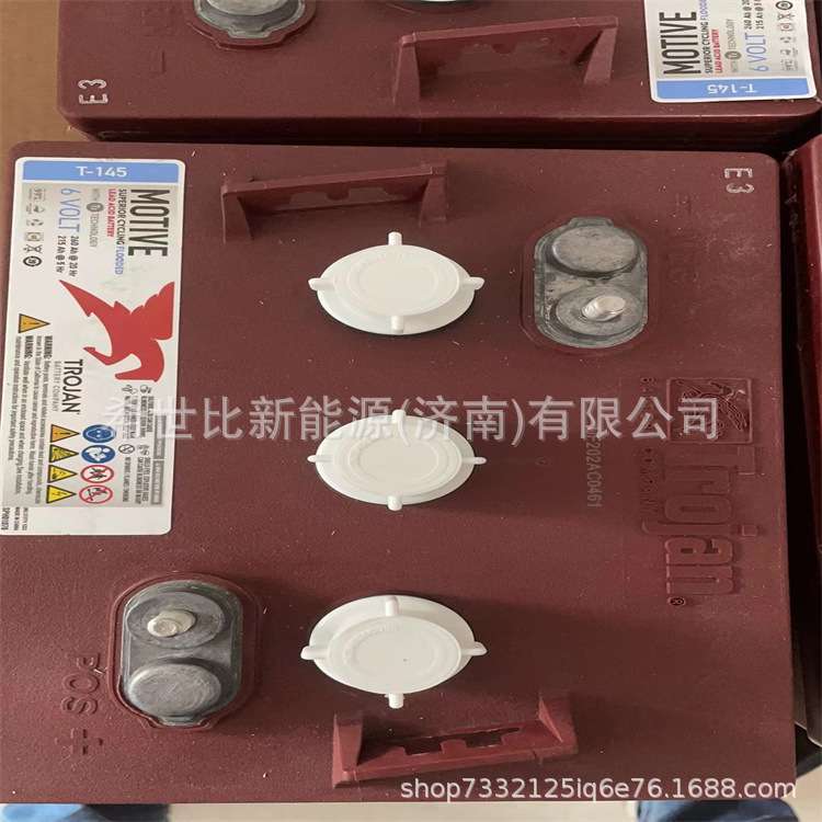 Trojan邱健蓄电池 T-145洗地机6V260AH升降机观光车堆高车