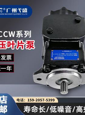 高压液压油泵T6CCW 017 006 1R00 C100 1R01 1R02 1R03叶片泵低噪