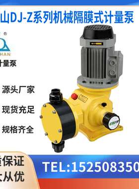 大山DJ-Z系列机械隔膜式计量泵