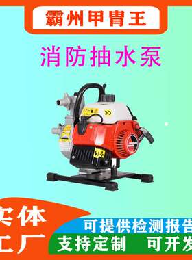 手提式小型QGZ25-30(1E40F-6)水泵6.3kg汽油动力灭火水泵