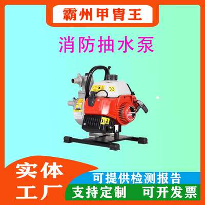 手提式小型QGZ25-30(1E40F-6)水泵6.3kg汽油动力灭火水泵