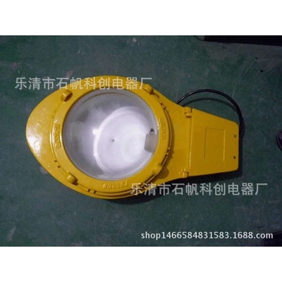 BLC8610防爆道路灯（IIC）马路灯 道路灯 BAM55LED-RY-T101