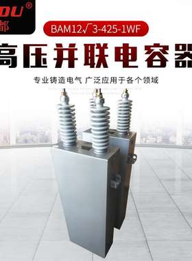 高压并联电容器BAM12√3-425-1WF 集合式高压并联电容器 现货