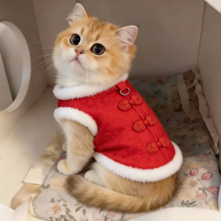 猫咪新年衣服冬天中国红拜年马甲英短布偶金渐层防掉毛加绒保暖衣