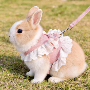 兔子牵引绳宠物外出防挣脱可调节背心式牵引衣侏儒兔龙猫宠物用品