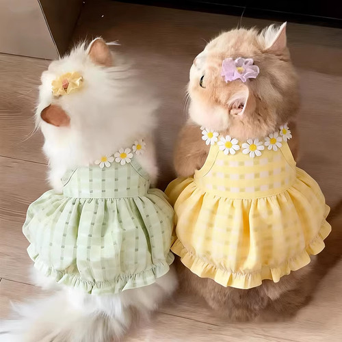 猫咪衣服夏季薄款防掉毛雏菊吊带