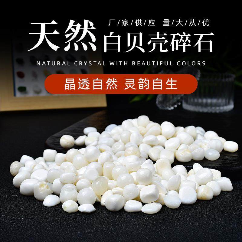 厂家贝壳碎石景观装饰摆件小颗粒鱼缸花盆铺面园艺装饰造景石