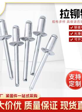 抽芯铆钉铝制厂家现货 开口型圆头铝拉钉铝铆钉M3M4M5M6铁铆钉