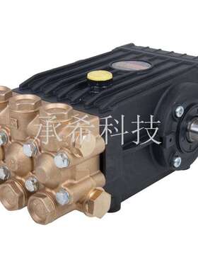 意大利 高压柱塞泵  INTERPUMP 英特 --WS102,WS152,WS202
