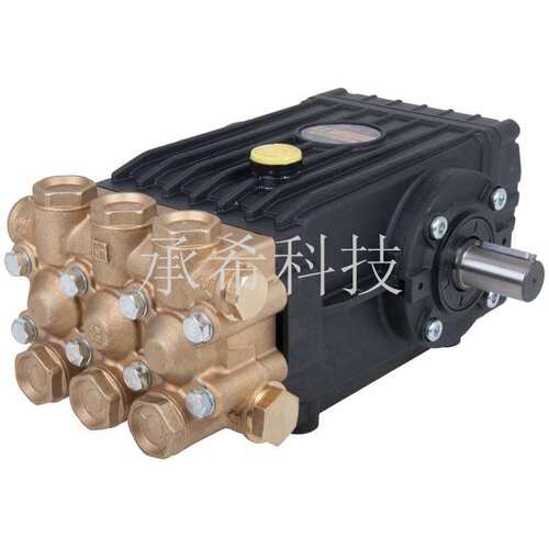 意大利 高压柱塞泵  INTERPUMP 英特 --WS102,WS152,WS202