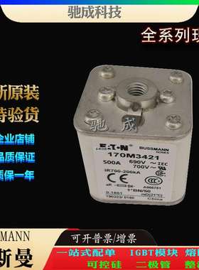 巴斯曼170M3421 170M3422 170M3423 销售供应零售  特种保险丝