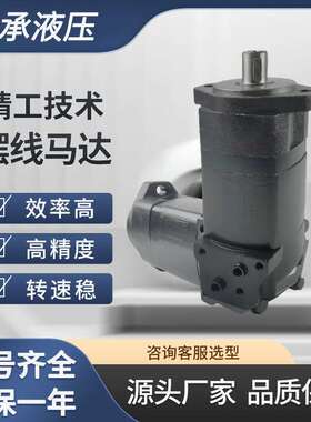 BMK2系列液压马达注塑机油马达