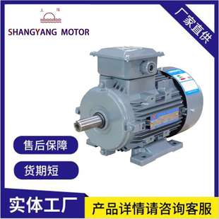 安装维护简单 江苏上阳电机 YE3节能电机 性能稳定马达