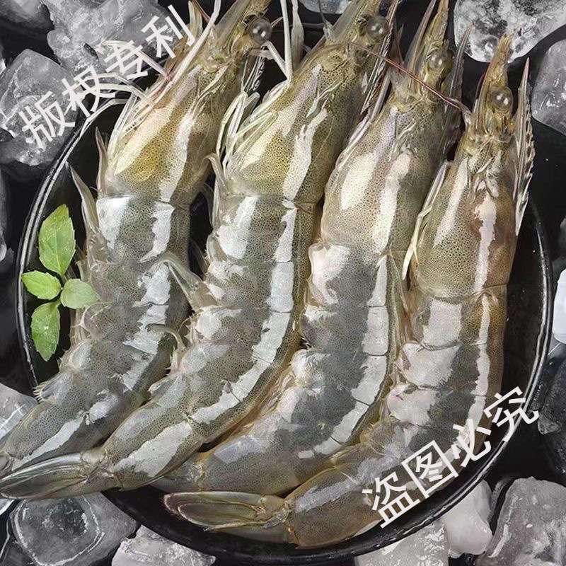 厄瓜多尔白虾3斤鲜冻特大号南美白对虾单冻新鲜冷冻海虾冻虾