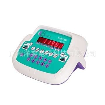 供应意大利Laumas原装称重显示器,WTAB-BR称重控制仪表