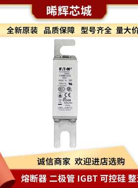 直流熔断器170M1315 170M1316 电子元器件 库存充足量大从优现货