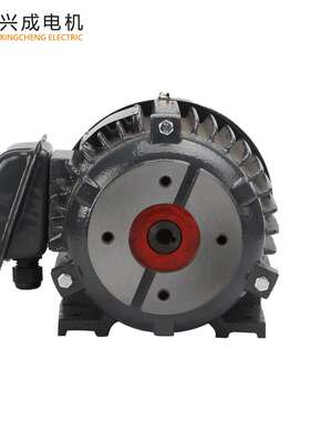 VP20 VP15 VP12油泵电动机2.2KW 3HP内插式YT100L-4液压站系统