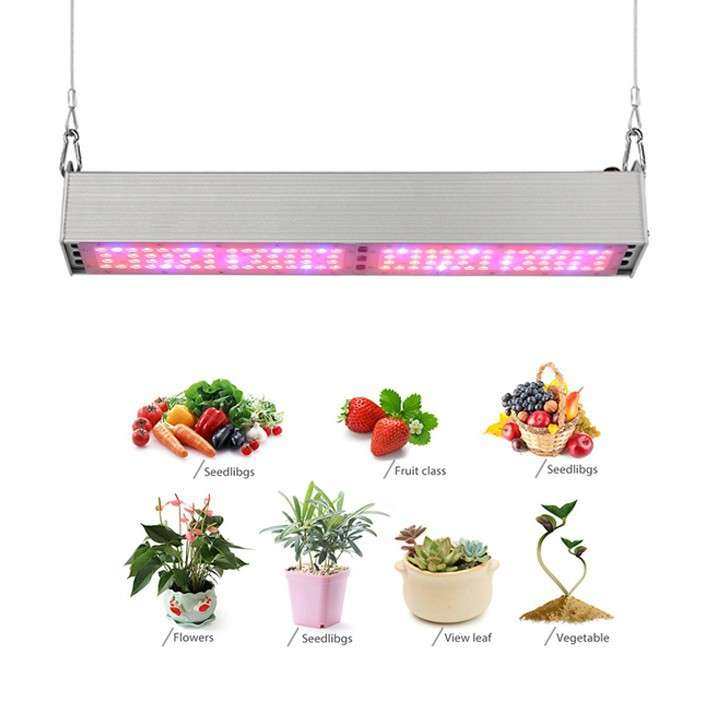 植物补光灯220瓦100W全光谱太阳光温室花卉热植led专用植物生长灯,3C数码配件,USB灯,淘宝优惠券,粉丝福利购,淘宝优惠卷