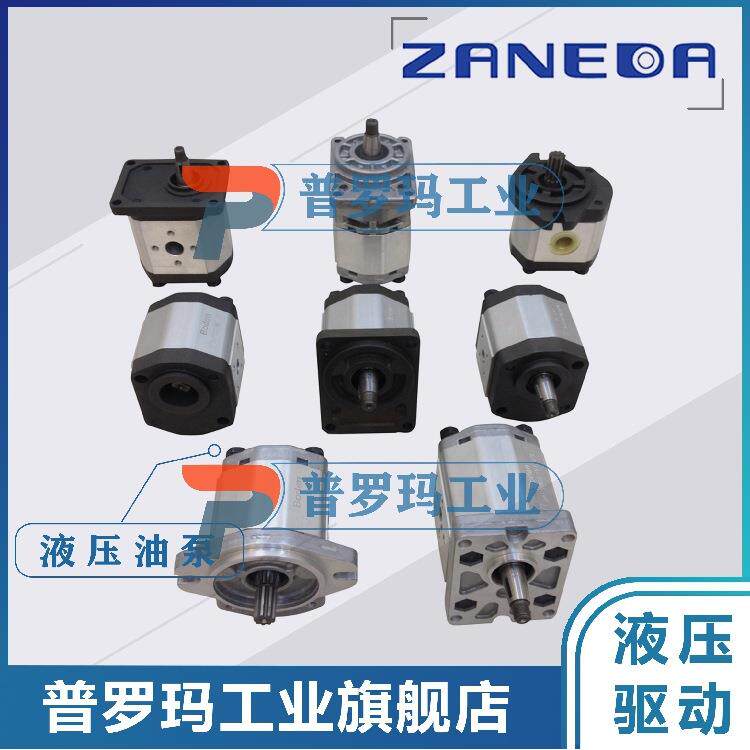 齿轮油泵2ZAPAOD2ZAPB0DB1B2Q1Q2Q0-T0E0/COUO/T1F0