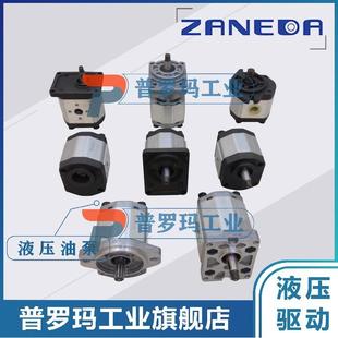 T1F0 COUO 齿轮油泵2ZAPAOD2ZAPB0DB1B2Q1Q2Q0 T0E0