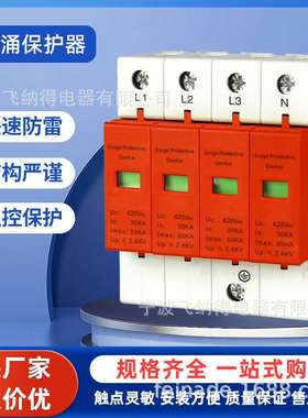 飞纳得CFD-385D/4-20SPD电浪涌防雷保护器电源防雷器2P避雷断路器