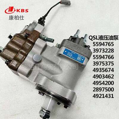 适用康明斯配件高压共轨燃油QSL液压油泵4954200 2897500 4921431
