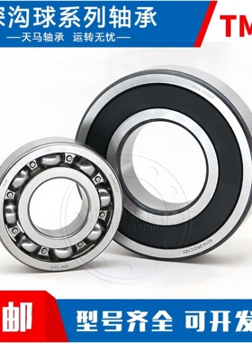 天马轴承TMB/6019/6020/6021/6022/6024/2RZ/C3/C3Z1/开式电机水