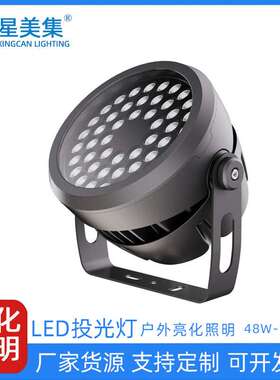 LED花园公园别墅园林动物园景观灯具  48W72W96W园林景观照树灯