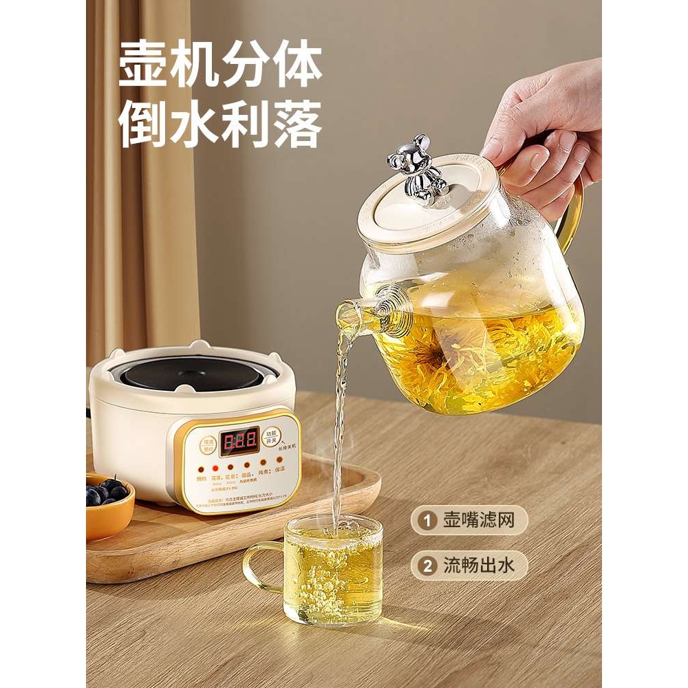 玻璃养生壶家用多功能2024新款煮茶器小型办公室mini煮茶壶烧水壶