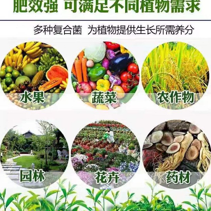 棚生物专用大剂宝菌蔬菜生物土壤闷棚菌改良包邮闷棚酶菌肥抗重茬