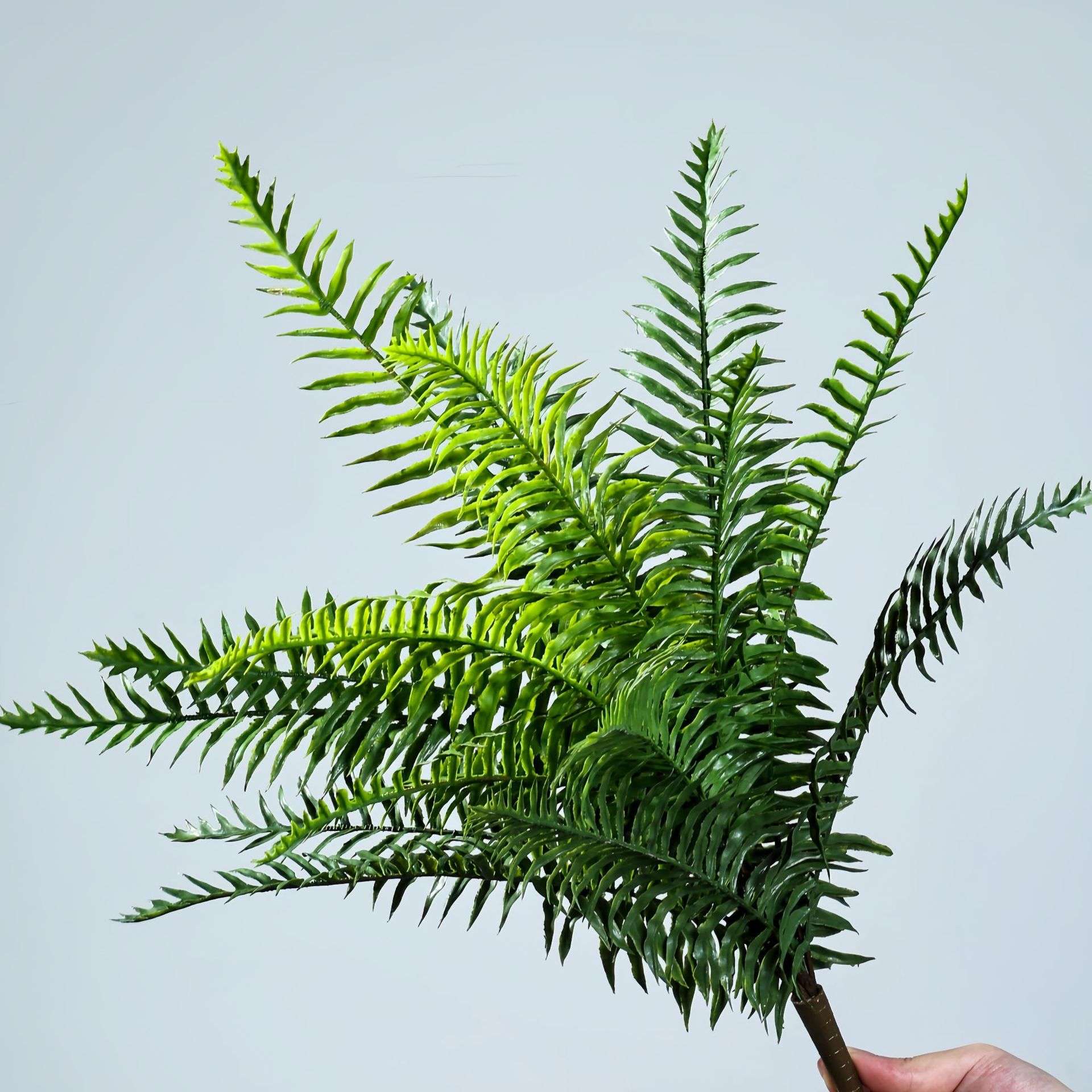 仿真波斯草肾蕨蕨草17叶大号帝王蕨类绿植墙婚庆装饰花草假绿植物