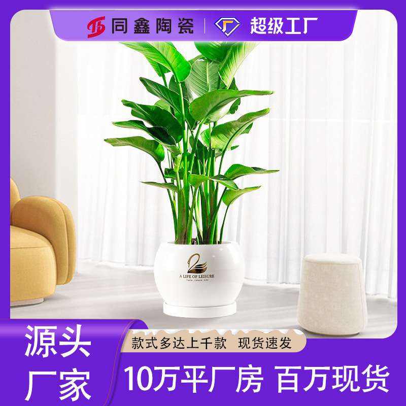 陶瓷花盆上档次客厅创意简约发财树龟背红掌绿植落地家用阳台花盆