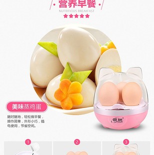 多功能小型煮鸡蛋羹机自动断Y电迷你家用 蒸蛋器 领锐 煮蛋器