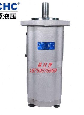 520P5BLC32BF103C/FN-F-F 5L/F齿轮泵NLB-56  -BFH