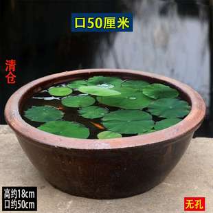 睡莲碗莲花盆铜钱草花盆大口径老式陶盆荷花缸鱼缸老缸无孔水培盆